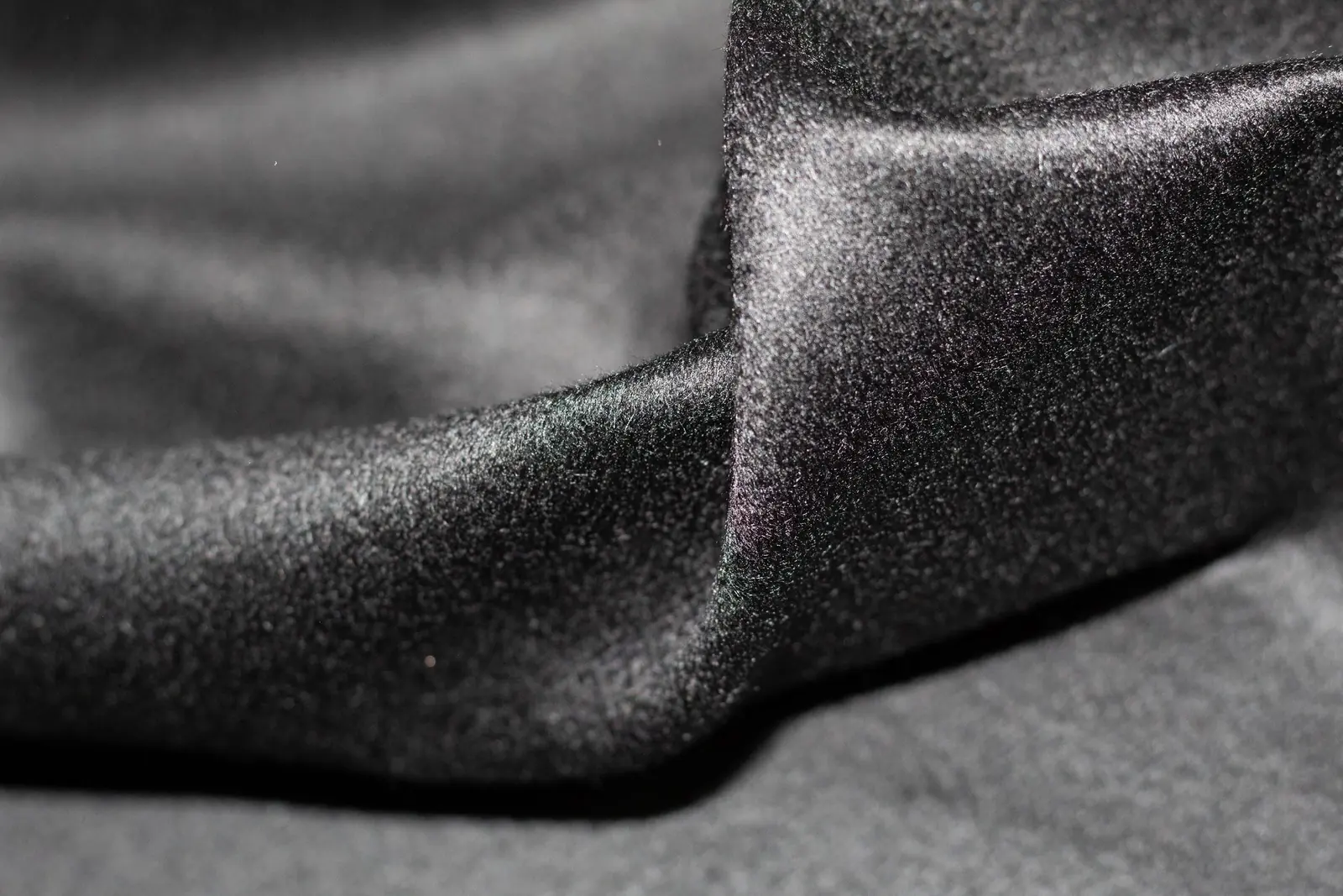 Cashmere Alashan
