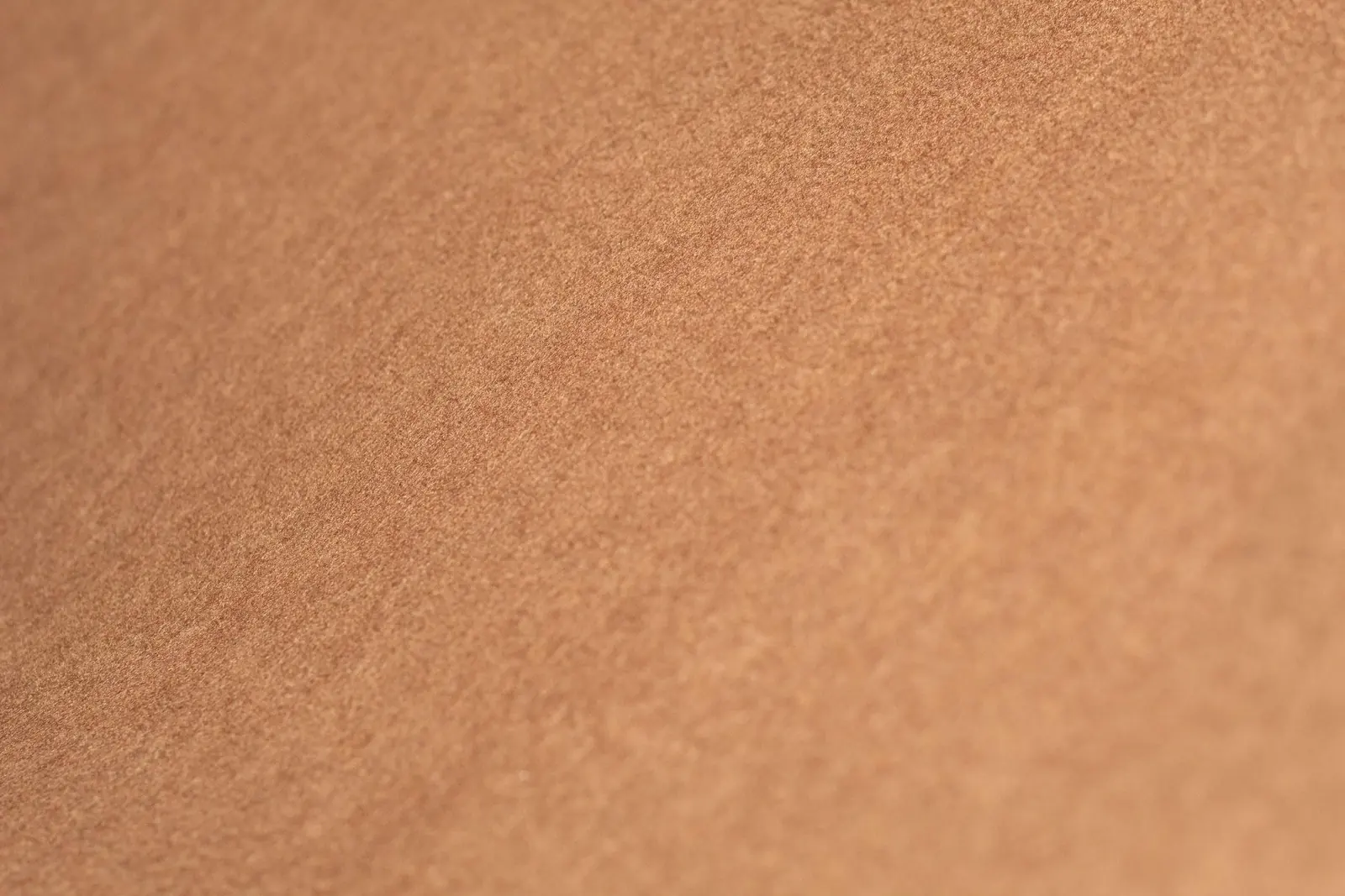 Cashmere Alashan