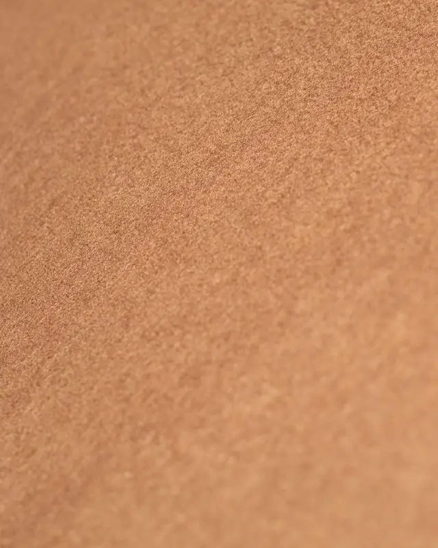 Cashmere Alashan