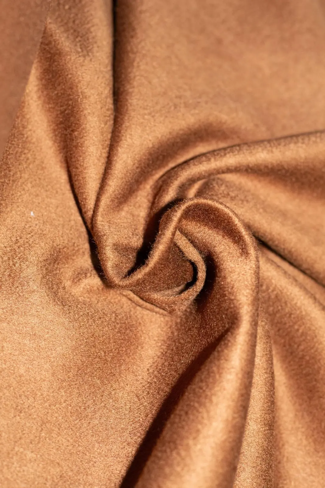 Cashmere Alashan