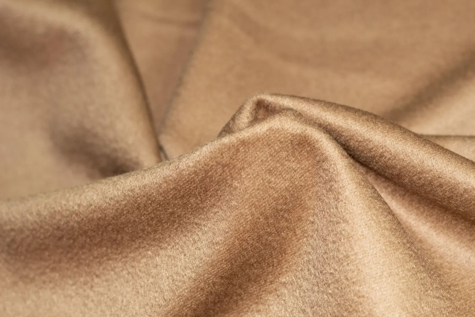 Cashmere Alashan